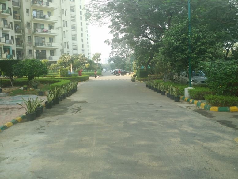  celebrity suites Others