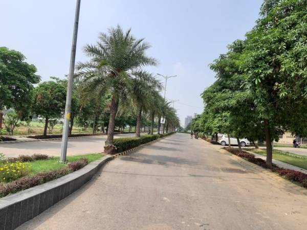 Internal Roads world-city Internal Roads