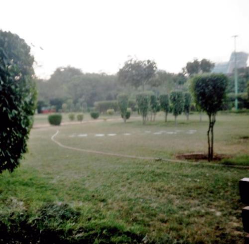  pink-town-house Landscaped Gardens