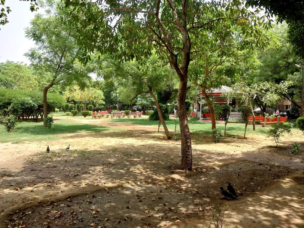  pink town house Landscaped Gardens