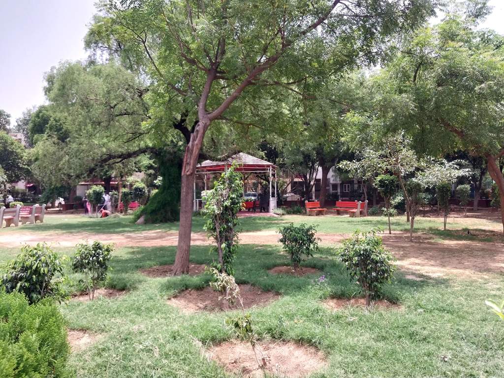  pink town house Senior Citizen Sitout