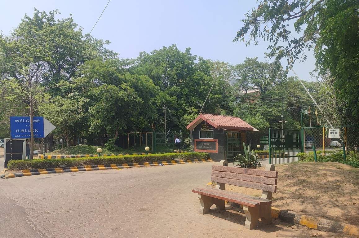  city phase 1 Landscape Garden and Tree Planting