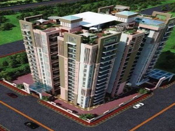  golden-maple Elevation