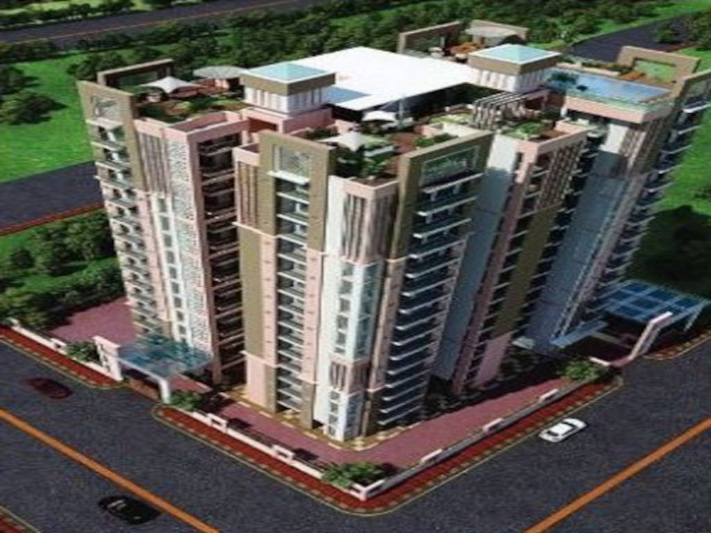  golden maple Elevation