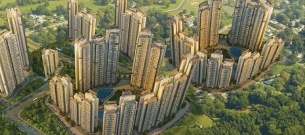 Elevation 76-canvas Elevation