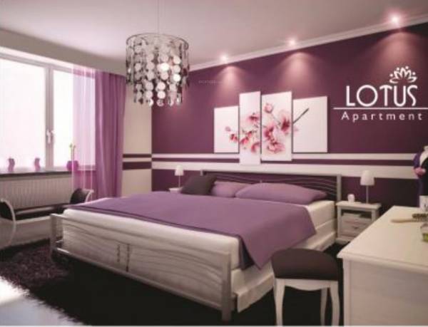 Images for Main Other of DS Lotus Apartment
