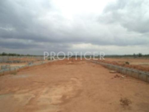 Images for Elevation of Confident Althena III