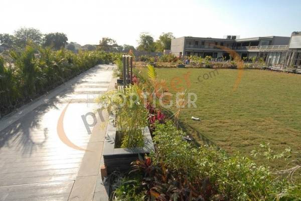 JP ISCON Group Iscon Palmspring