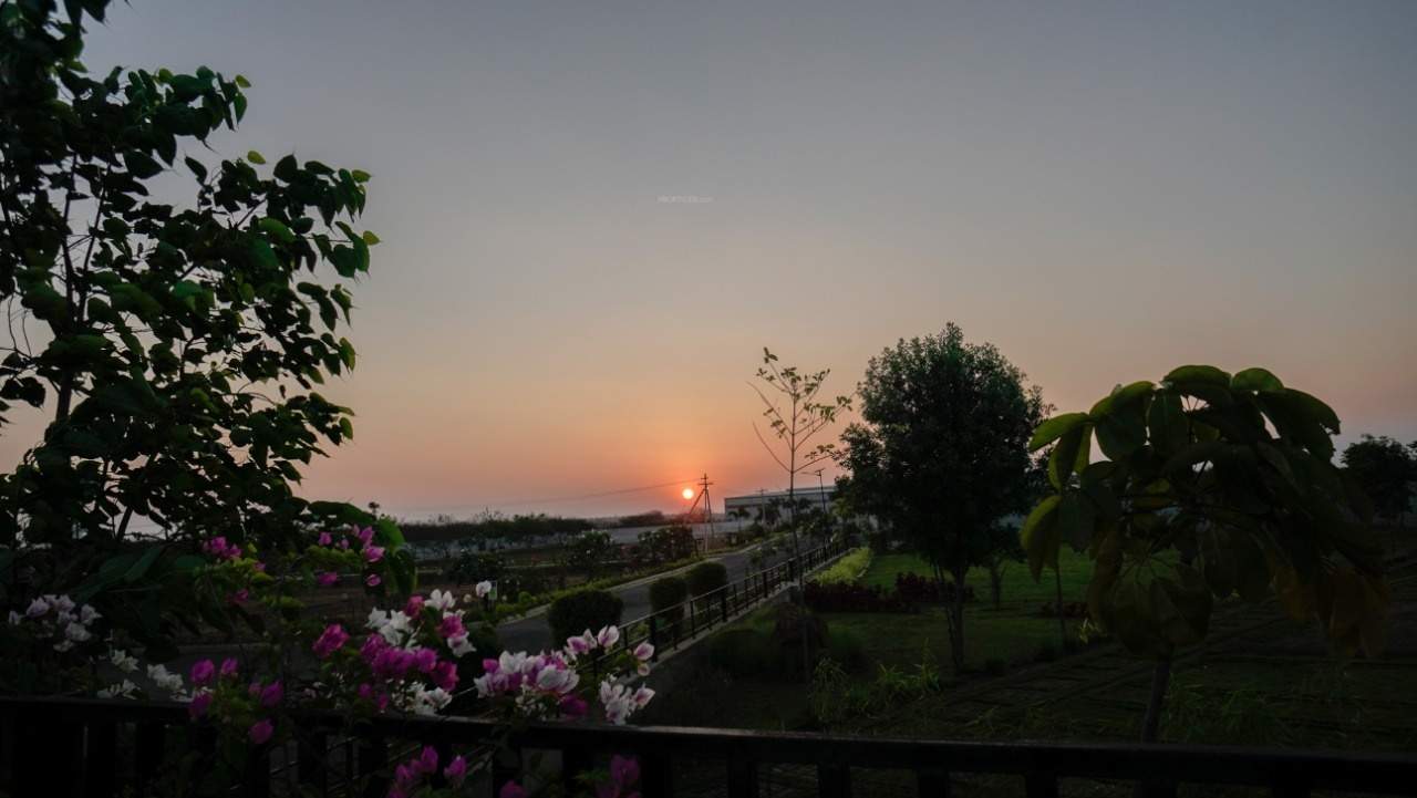 Images for mainOther