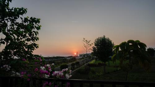  habitat Images for mainOther