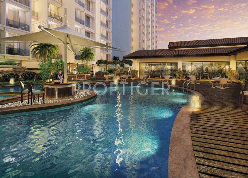  the rain forest Images for Elevation of Mounthill The Rain Forest