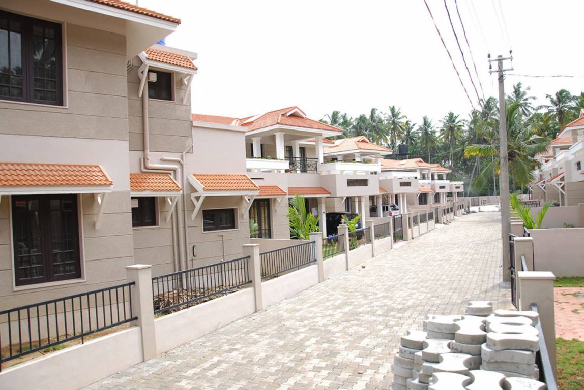 Images for Elevation of Chevron Rivulet