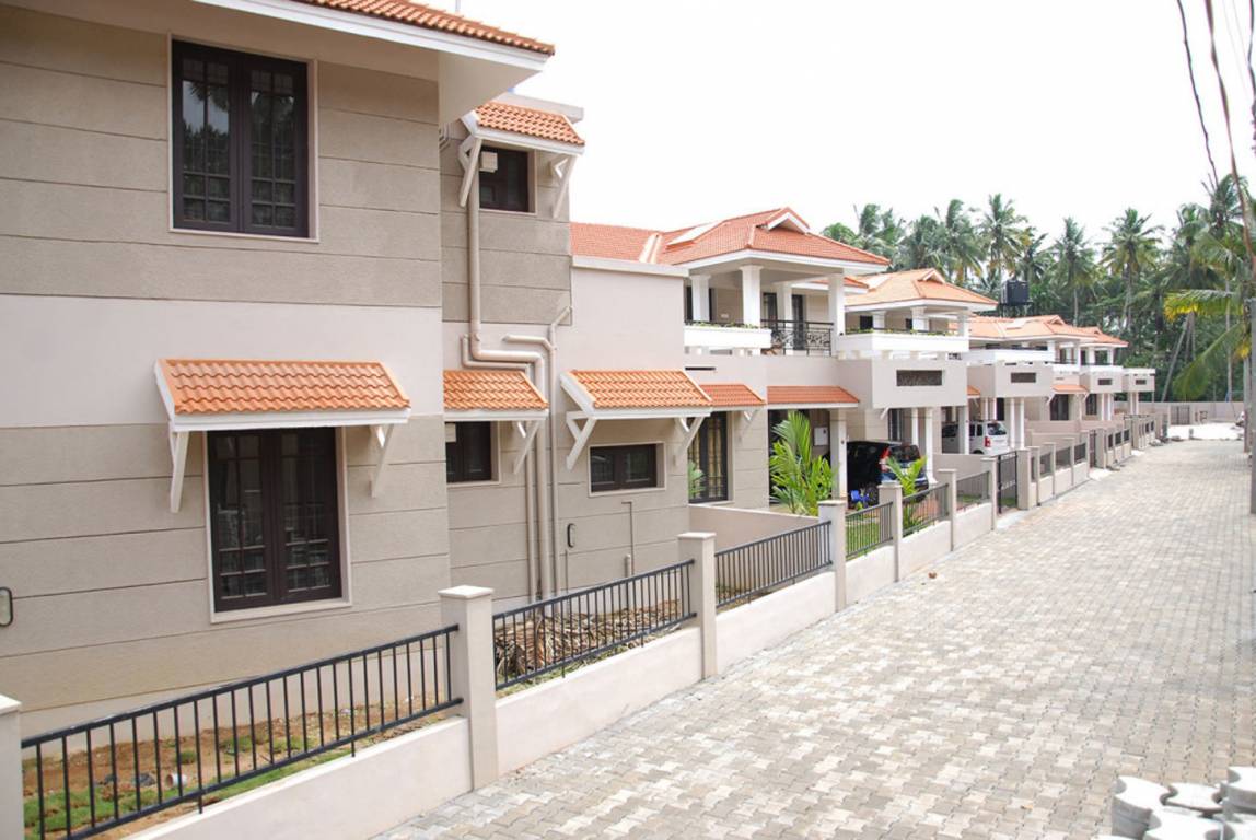 Images for Elevation of Chevron Rivulet