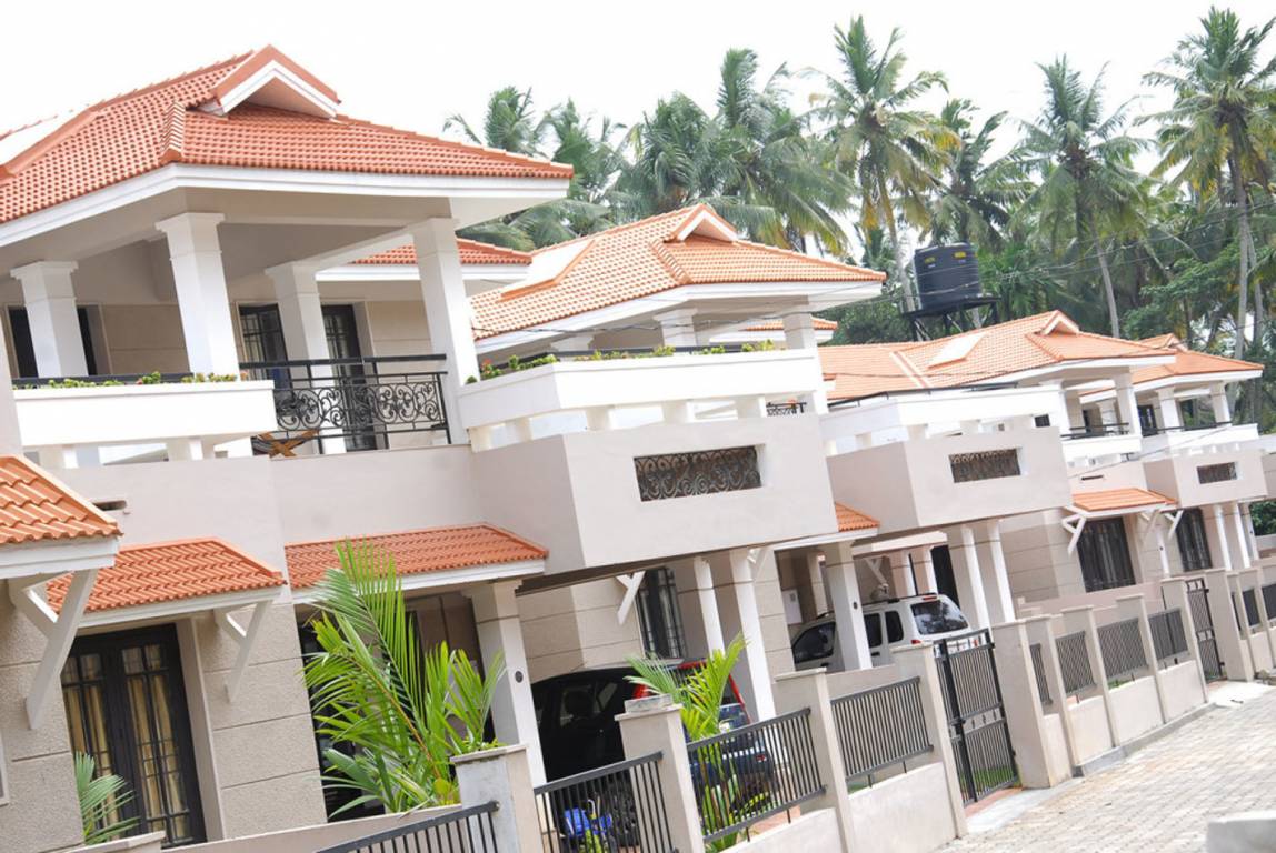 Images for Elevation of Chevron Rivulet