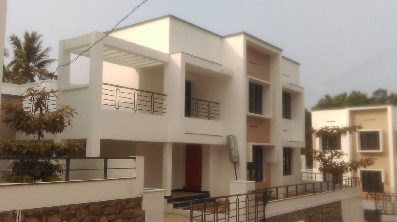 Images for Elevation of Chevron Celestine