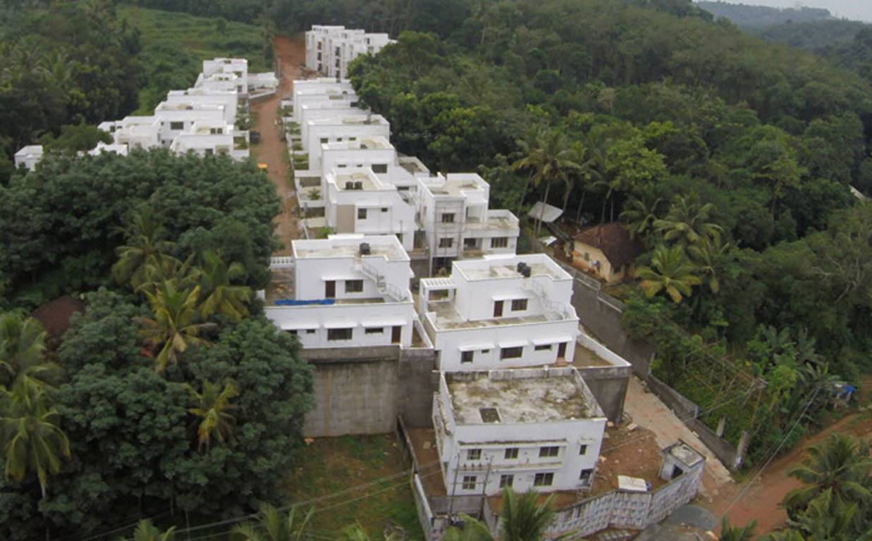 Images for Elevation of Chevron Celestine