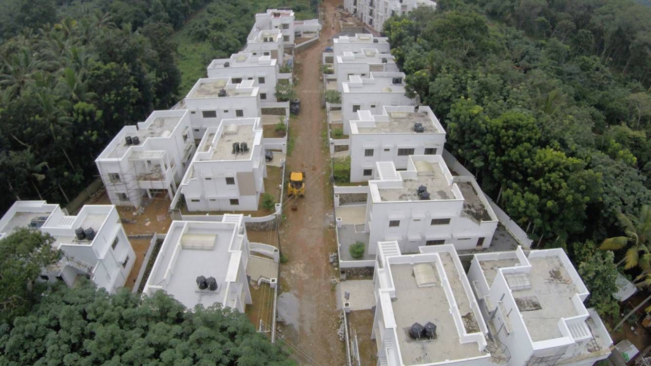 Images for Elevation of Chevron Celestine