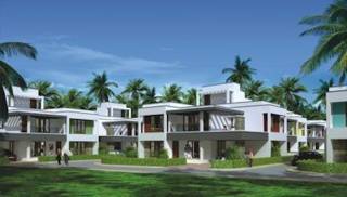 Project Image Project Image