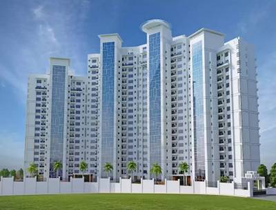 Elevation alexandria Elevation