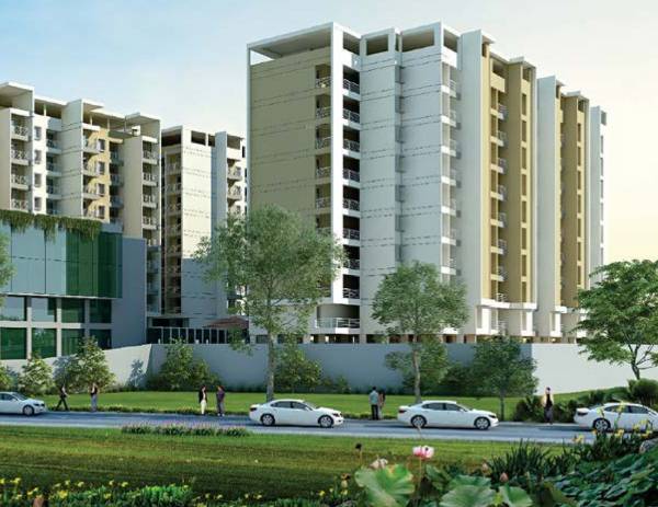 Images for Project Images for Project