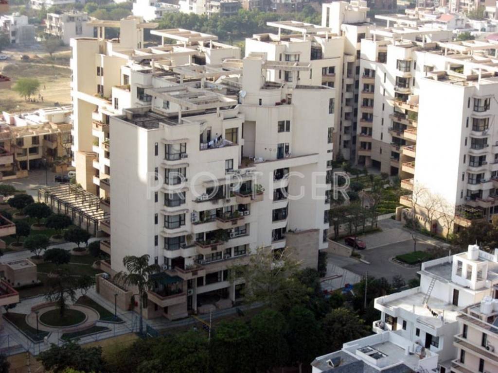 Images for Elevation of Silverglades The Ivy