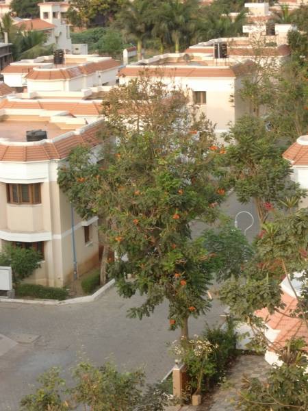  park-residency Internal Roads