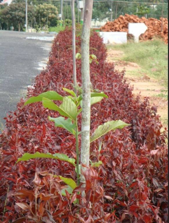  park dale Prasiddhi Group Park Dale