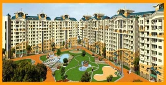 Images for Elevation of Royal Royal Legend