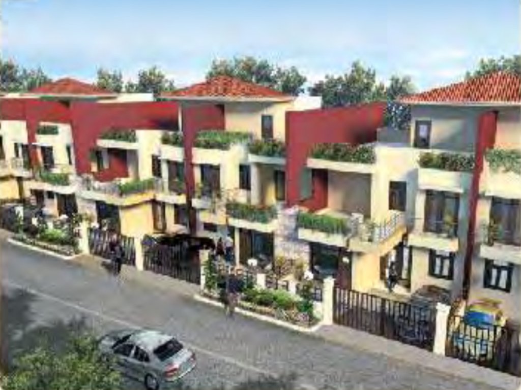  palm ville Elevation