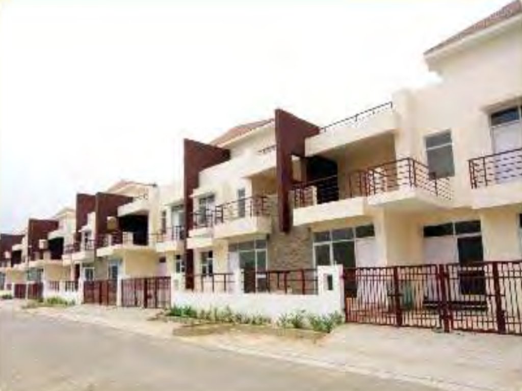  palm ville Elevation