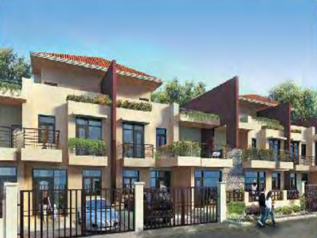  palm ville Elevation