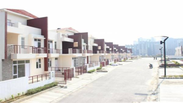 Elevation palm-ville Elevation