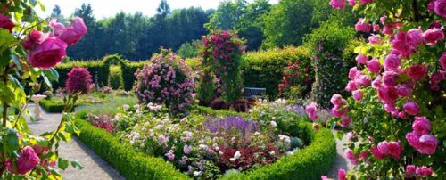 Images for Amenities of Pride India Golden Sands