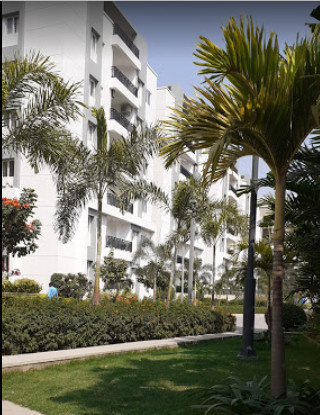  palm-breeze-apartment Elevation