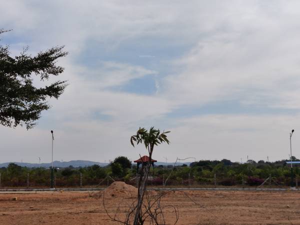 Elevation gardens-3 Elevation