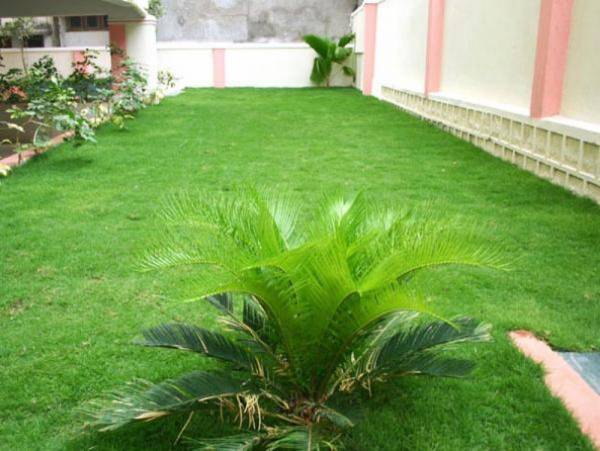 Images for Amenities of Maphar Cascade