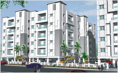  white lotus Elevation