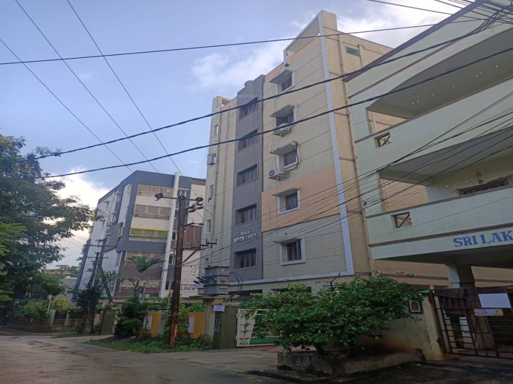  moon light Elevation