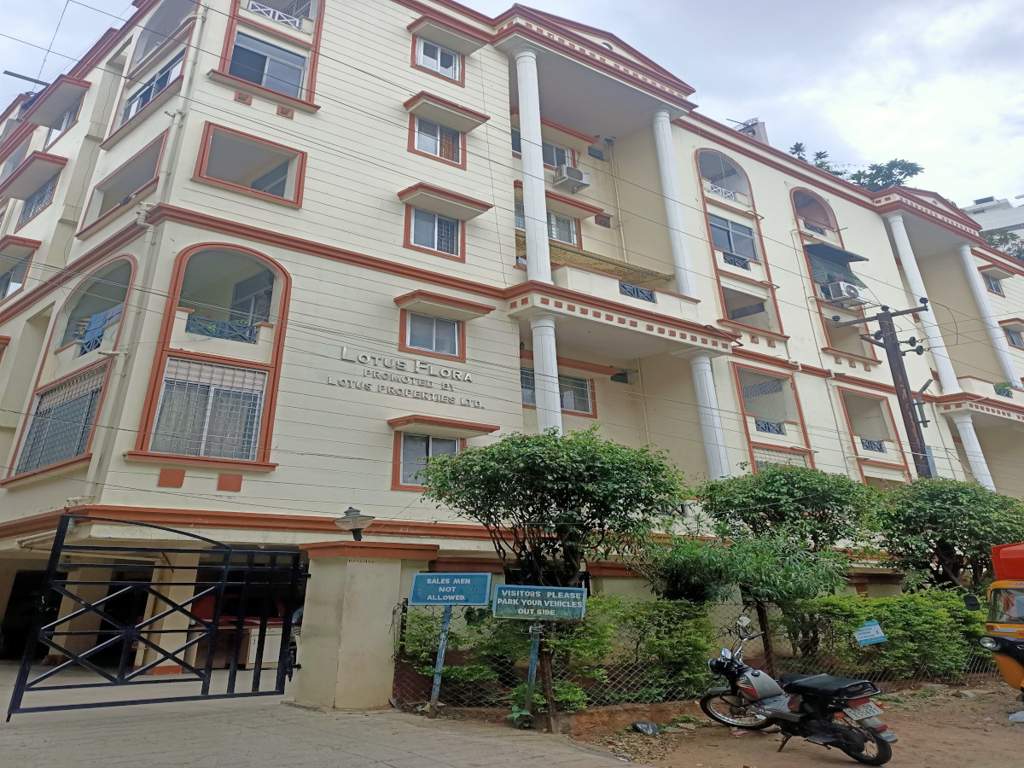  flora apartment Elevation