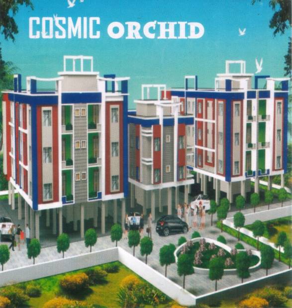 Images for Elevation of Cosmic Orchid