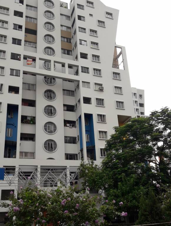 Images for Project Images for Project