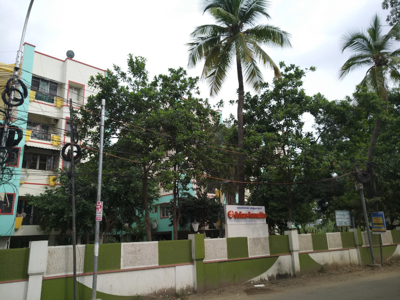  jains anumita Elevation