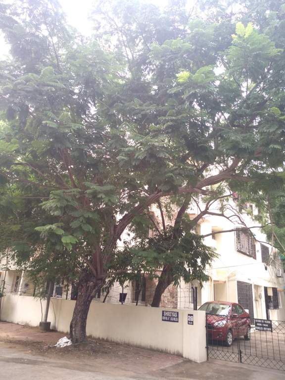  apartments Elevation