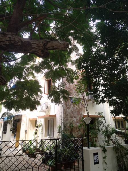  apartments Elevation