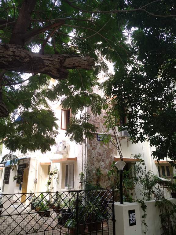  apartments Elevation