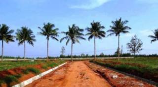 Project Image Project Image