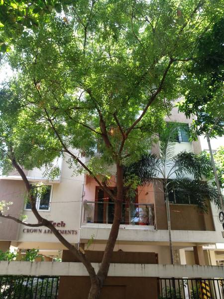 Elevation crown-apartments Elevation