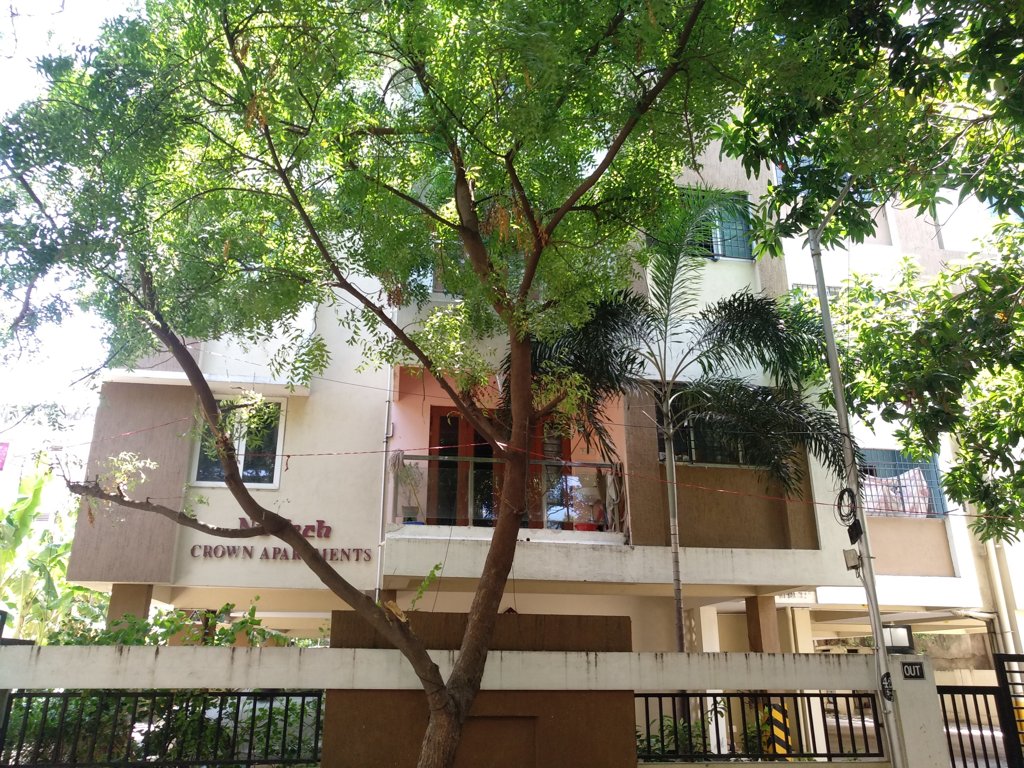  crown apartments Elevation