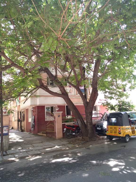  bernes manor Elevation