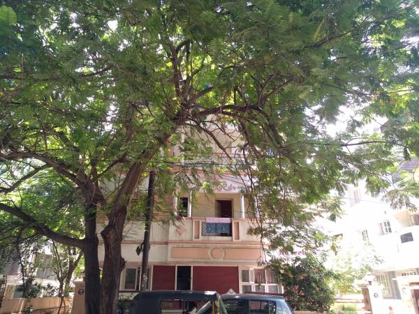  bernes-manor Elevation